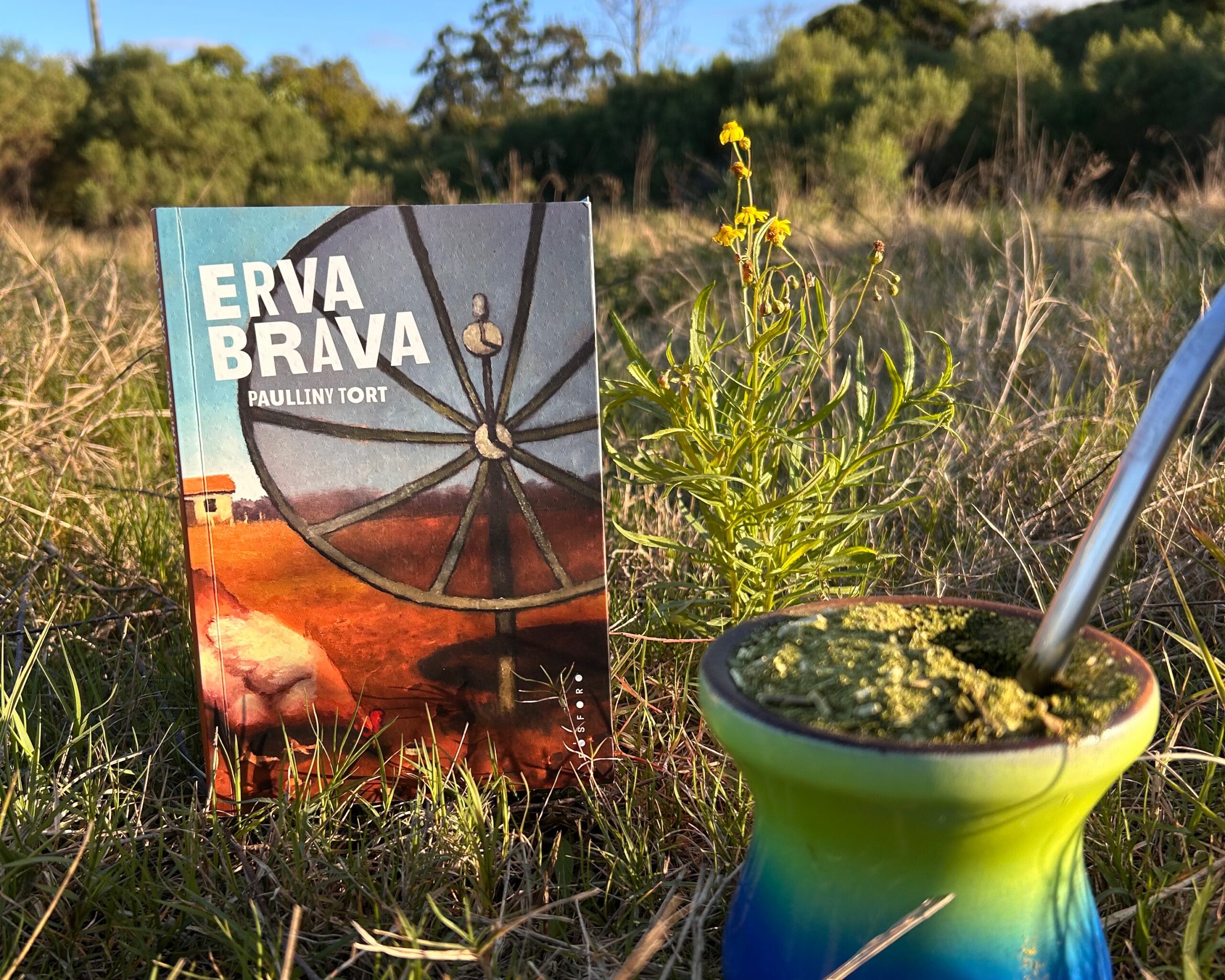 Erva Brava